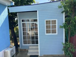 聖安德烈斯的住宿－Honey Hill View，蓝色的棚子,有窗户,里面有一只狗
