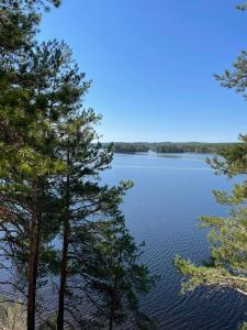 a view of a lake through the trees at Hideaway Glamping in Muurame