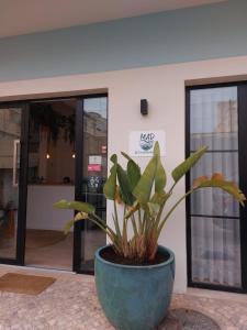 a plant in a pot in front of a building at Marsuites in Armação de Pêra