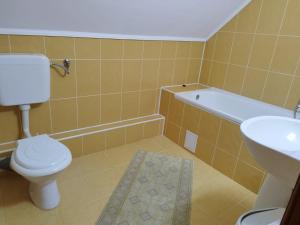 a bathroom with a toilet and a tub and a sink at Casa Ildikó in Sovata +36 photos