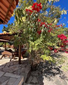 A garden outside Pousada Encanto dos Anjos