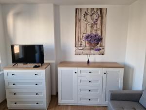 Televízia a/alebo spoločenská miestnosť v ubytovaní Apartament Lawendowy Gdańsk