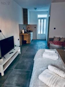 TV a/nebo společenská místnost v ubytování Apartman Rosemary + 21 fotografií