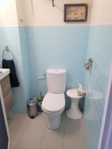 a bathroom with a white toilet and blue tiles at SUNNY DAYS - App 60 m2 avec balcon, 4 pers, 3e étage, au calme et ensoleillé in Le Touquet-Paris-Plage +27 photos