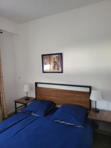 um quarto com uma cama azul e 2 almofadas azuis em 09Launay Bouhier 09 em Nantes