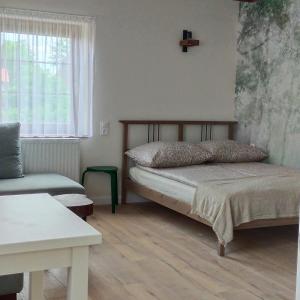 a bedroom with a bed and a couch and a window at Apartamenty Heweliusz House in Stegna