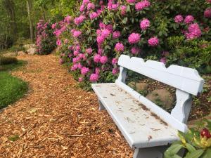 a white bench sitting in front of pink flowers at Frederick William House in Falmouth