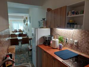 a kitchen with a counter top with a refrigerator at Cabana Alpha in Baia Mare