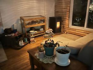 - un salon avec une cheminée et une table ornée de plantes dans l'établissement Casa Balmaceda Backpackers, à Coyhaique