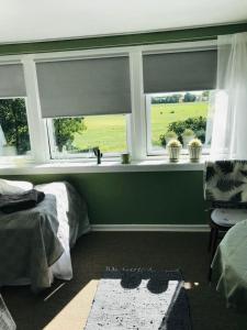 - une chambre avec deux fenêtres, un lit et un tapis dans l'établissement B & B Mølgaard by Skjern, à Skjern