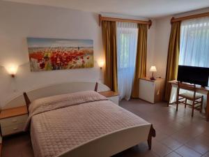 ein Schlafzimmer mit einem Bett, einem Schreibtisch und einem Fernseher in der Unterkunft Villa Riva in Omišalj