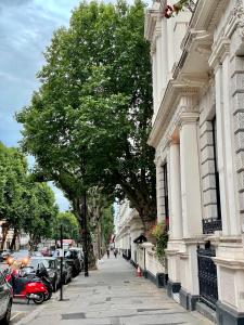 een boom op een stoep naast een wit gebouw bij Super Apartment in Kensington Next To Hyde Park in Londen