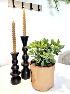 dois vasos pretos e uma planta sobre uma mesa em GALLERY APARTMENT: MAISONETTE + FREE PARKING + NETFLIX em Essen