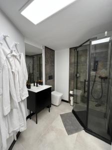 łazienka z prysznicem, umywalką i toaletą w obiekcie Epic House w mieście Międzylesie