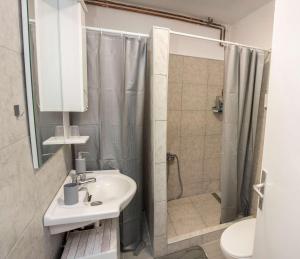 Kúpeľňa v ubytovaní Apartman Viljevac, Donji Miholjac + 24 fotografií