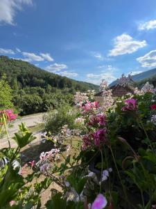un giardino di fiori con una strada sullo sfondo di Mokra Gora Central Apartments a Mokra Gora