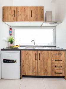 A kitchen or kitchenette at AVGOUSTIDIS APARTMENTS