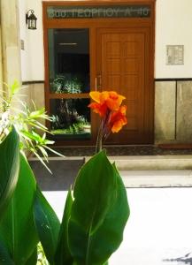 テッサロニキにあるAlpha Omega (AΩ) Vintage Suiteの玄関前の花瓶