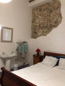 sypialnia z łóżkiem i umywalką w obiekcie Le Gîte de La Maison des Chats w mieście Saint-Amans-du-Pech