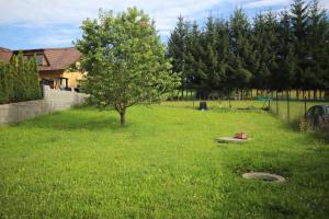 a tree in the middle of a grassy yard with a fire hydrant at Apartmán TINA in Rudolfov