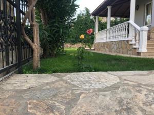 A garden outside Villa Etki