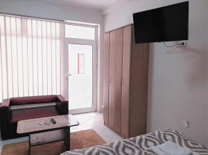 un soggiorno con letto e TV a parete di Atrijum apartmani Apatin a Apatin