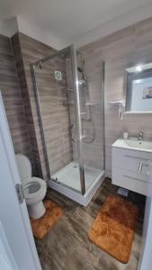 a bathroom with a shower and a toilet and a sink at Apartament Alina Sunrise in Saturn