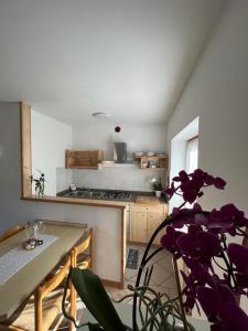 a kitchen with a table and a stove top oven at DOLOMITI HOUSE 2 in Fiera di Primiero