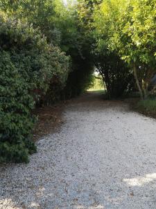 Vonkajšia záhrada v ubytovaní Au Bel Air