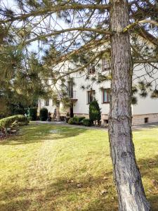 a tree in front of a white house at Ohotelik Pensjonat w Poniatowej in Poniatowa