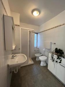a bathroom with a sink and a toilet and a shower at DOLOMITI house 1 in Fiera di Primiero
