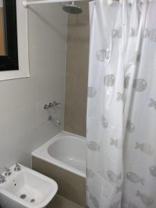 La salle de bains est pourvue d'un rideau de douche et d'un lavabo. dans l'établissement Departamento luminoso PB, à San Martín de los Andes