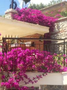 a bunch of purple flowers on a balcony at Stefanel View-Frederika in Himare