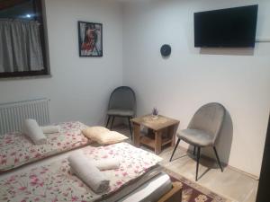 - 2 lits dans une chambre avec 2 chaises et une télévision dans l'établissement Apartman FILIP, à Udbina