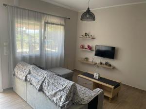 TV a/nebo společenská místnost v ubytování Pandwra apartment