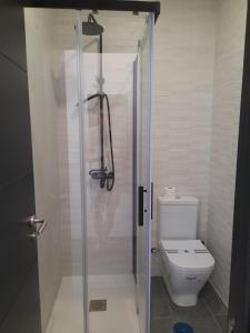 a bathroom with a shower with a toilet at CH Bueno in Madrid