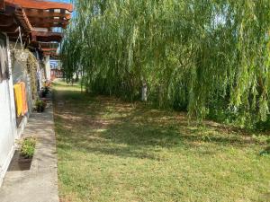 Сад в Casa Pescareasca - Complex Plaja Golf