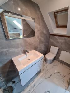 a bathroom with a sink and a toilet at La roseraie in Amboise