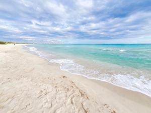 a sandy beach with the ocean on a cloudy day at Villa Sette Nani in Torre Lapillo