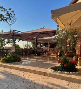Restaurace v ubytování Tékada Hotel & Restaurant