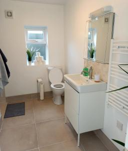 a bathroom with a toilet and a sink and a mirror at Sunny Side - Self Catering Accommodation Gorey in Gorey