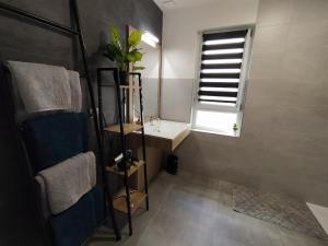 Ένα μπάνιο στο "Les Gîtes côté Blind" tout confort proche Colmar +119 φωτογραφίες