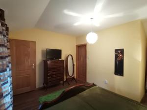 a room with a bed and a mirror and a tv at Apartmani Vojinović in Sjenica