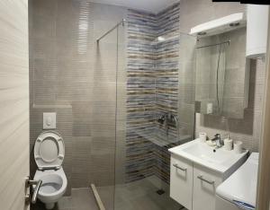 a bathroom with a toilet and a sink and a shower at Studio apartman Happy Home in Tivat +13 photos