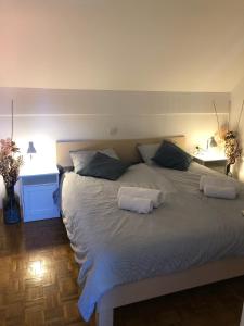 um quarto com uma cama grande e 2 almofadas em Spa House Lotus in Terme Čatež em Catez ob Savi