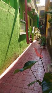 une rue avec un bâtiment vert et une statue d'oiseau rose dans l'établissement Luiza Guest House, à Baga