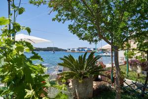 Fotografie z fotogalerie ubytování Apartments Nives v destinaci Cres