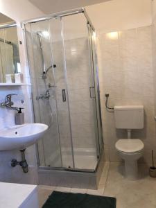 e bagno con doccia, servizi igienici e lavandino. di Spa House Lotus in Terme Čatež a Čatež ob Savi