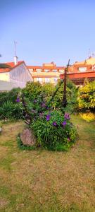 Ogród w obiekcie Pisos Vistalegre 2B con jardín cerca del mar