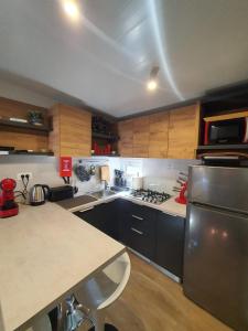 Kuchyň nebo kuchyňský kout v ubytování Mobile home Linico